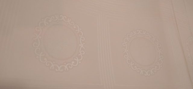 فرزین خودنقش رومانس