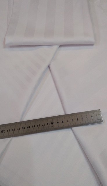 فرزین خودنقش هتلی