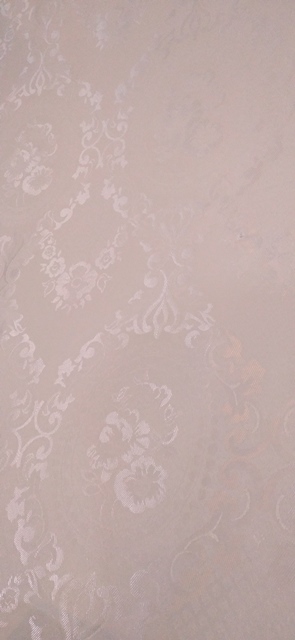 فرزین خودنقش