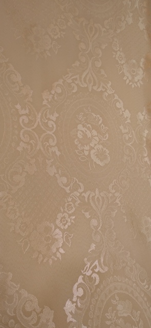 فرزین خودنقش