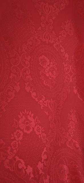 فرزین خودنقش