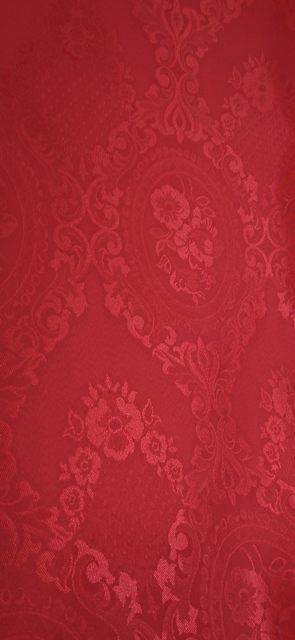 فرزین خودنقش