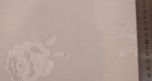 فرزین خودنقش رزیتا