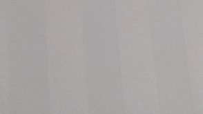 فرزین خودنقش هتلی