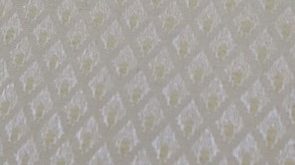 فرزین خودنقش - کوبیک