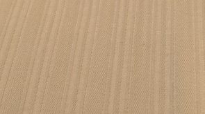 فرزین خودنقش