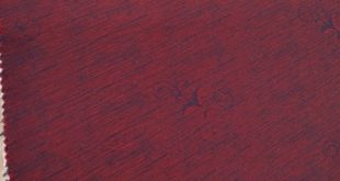 فرزین خودنقش باران