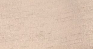 مانتویی فرزین خودنقش