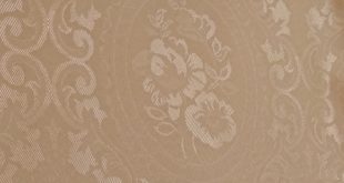 آینه ای - فرزین خودنقش