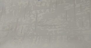 فرزین خودنقش پتینه ژاکارد